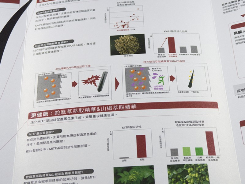 可捷 專業印刷 作品 - SHISEIDO 資生堂 頭髮護理型錄-05 | 可捷印刷